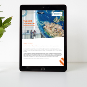 International Business Advice - Flyer